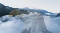 Layer-Montage
